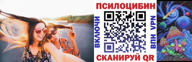 магазин продажи наркотиков  Константиновск  Галлюциногенные грибы мицелий 
